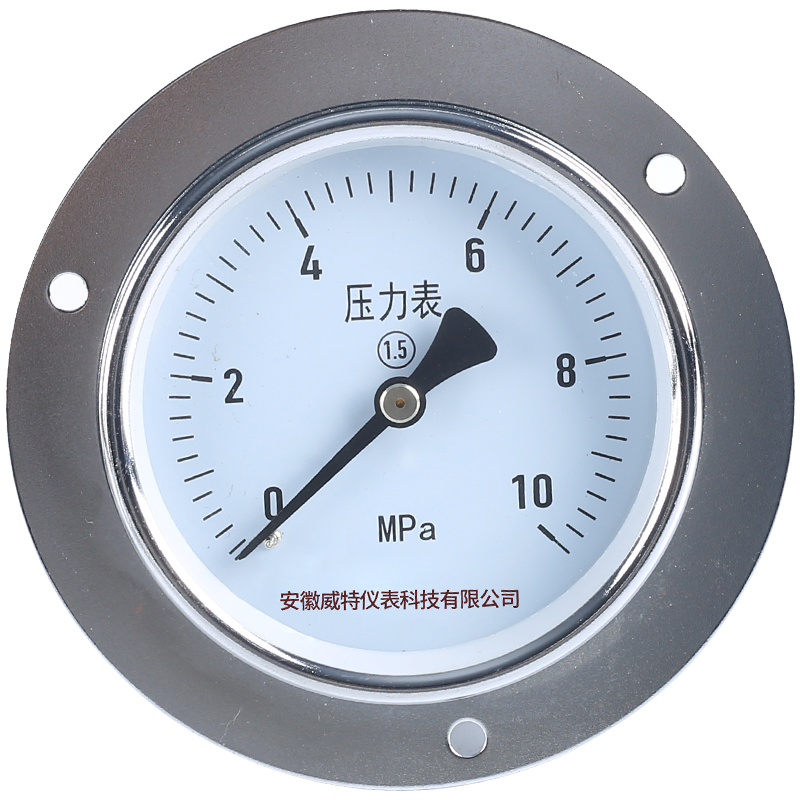 不銹鋼軸向帶邊壓力表